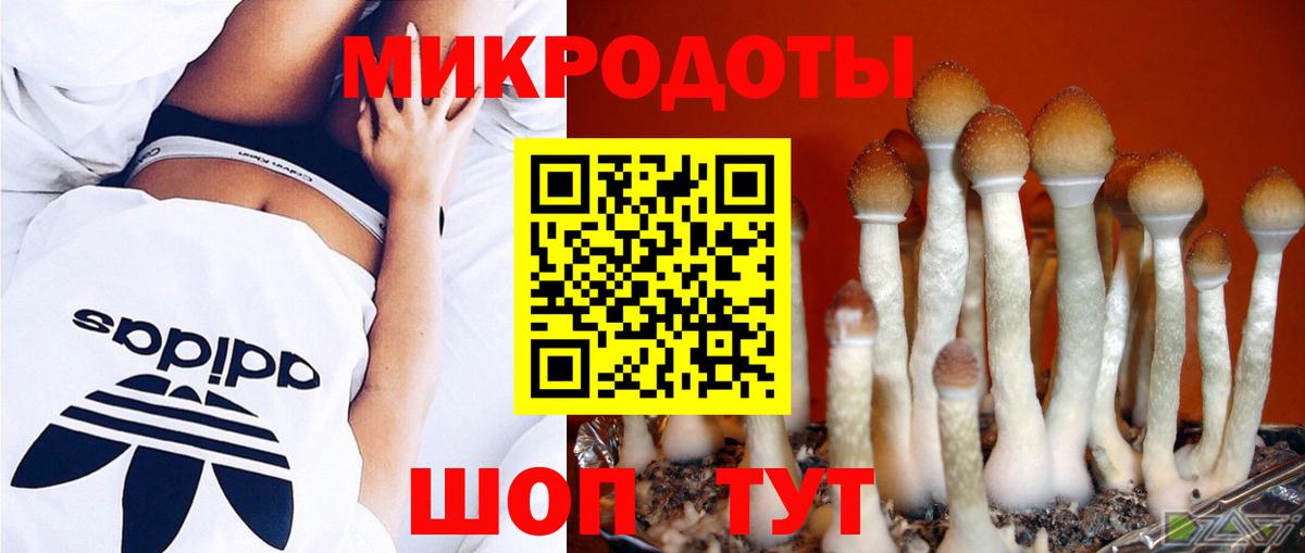 Псилоцибиновые грибы Magic Shrooms  Псилоцибиновые грибы MAGIC MUSHROOMS  Вход с VPN  Алейск 