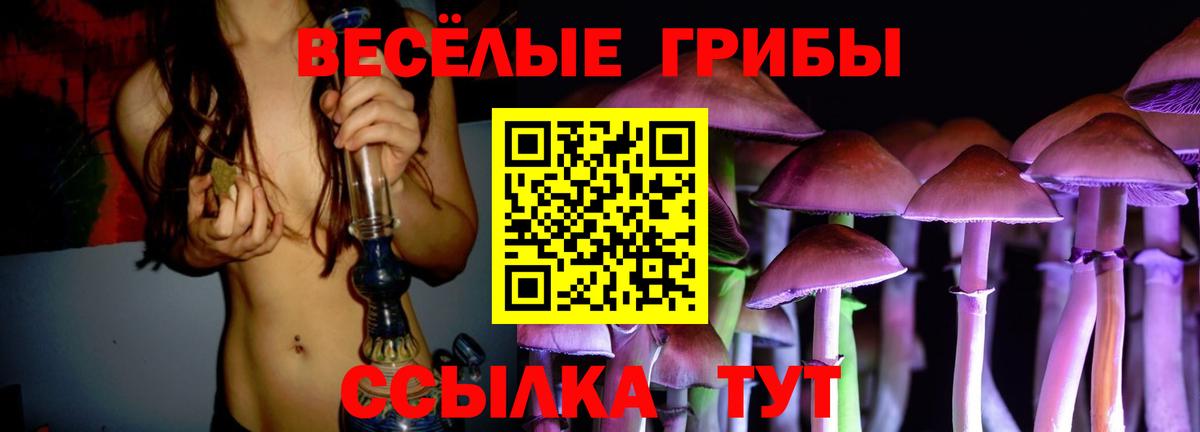 Псилоцибиновые грибы MAGIC MUSHROOMS Алейск